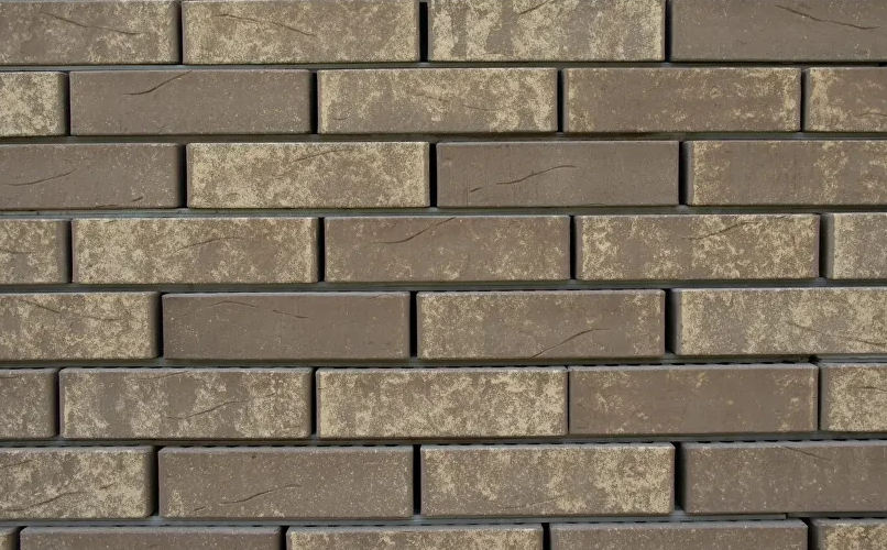 Кротовский Ламарк 1НФ