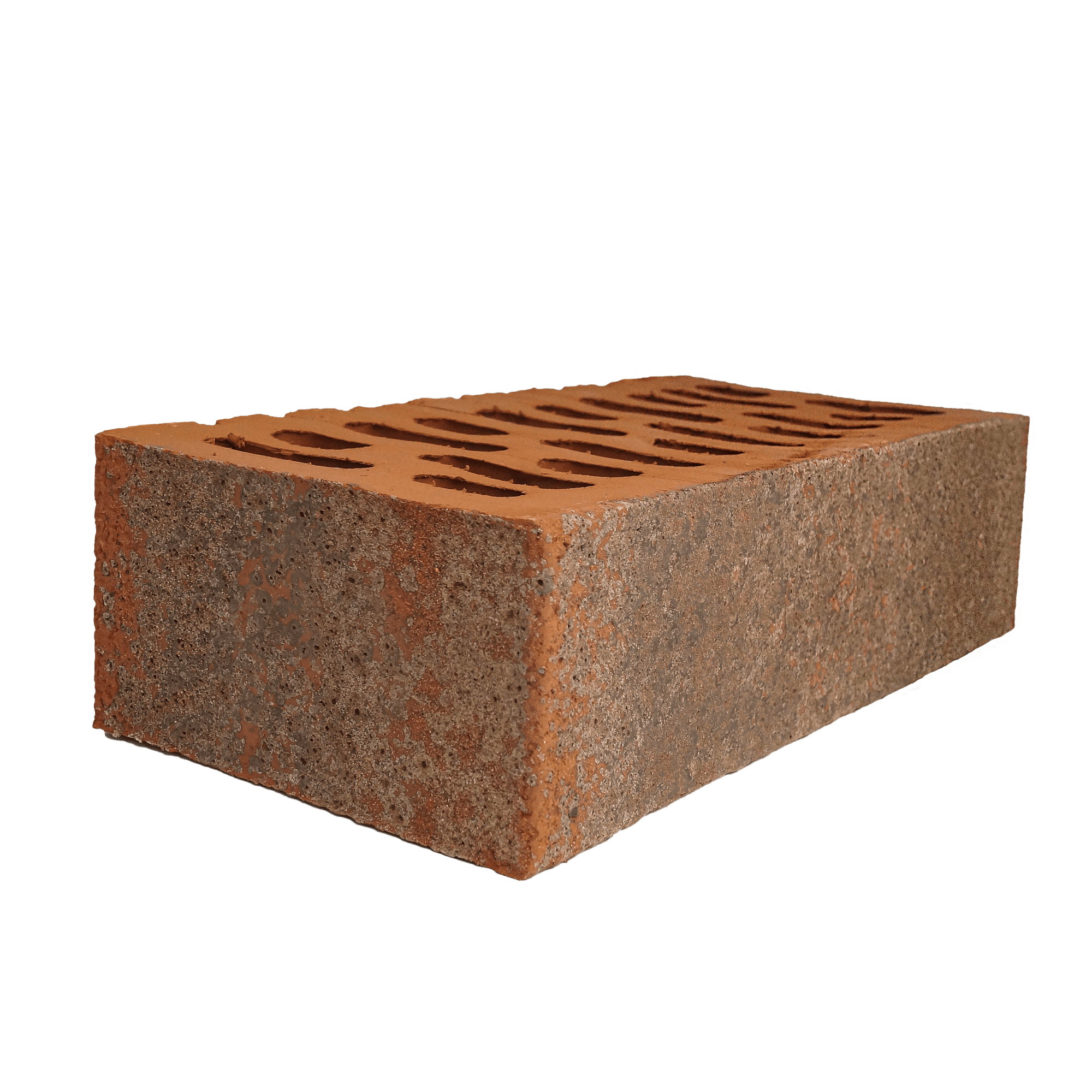 Кротовский Осень 1НФ