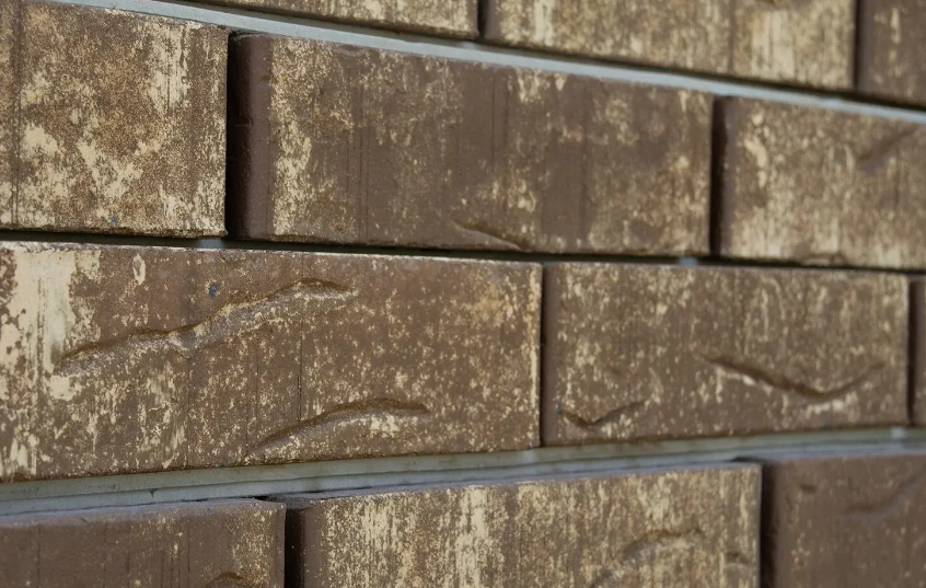 Кротовский Дверг 1НФ